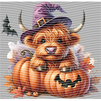 Halloween-WS 5705